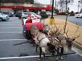 December2008 038